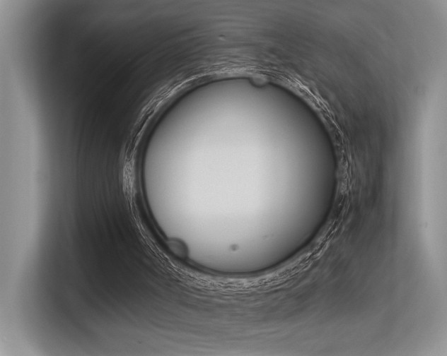 X0000113350002200909151203