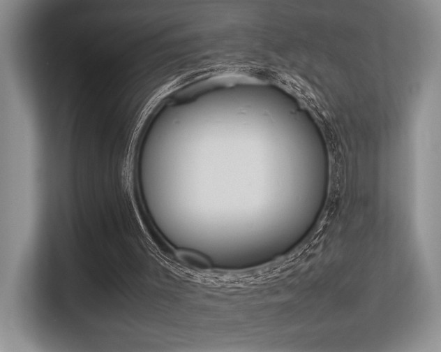 X0000113350003200909151203