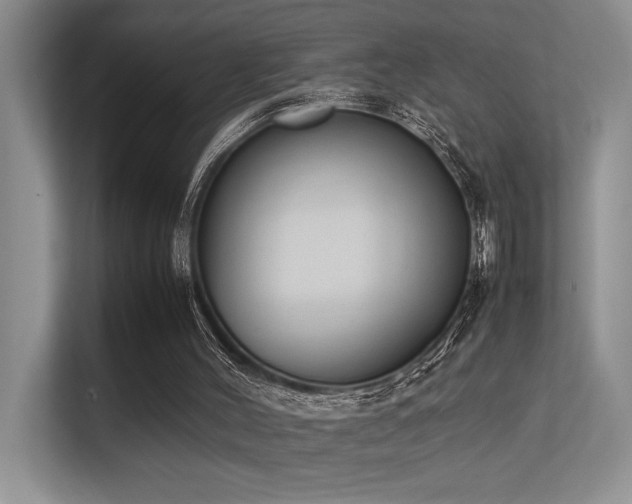 X0000113350004200909151203