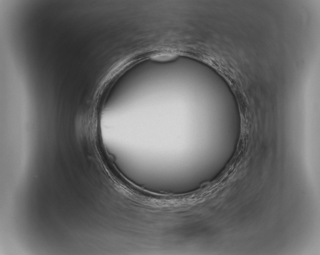 X0000113350005200909151203