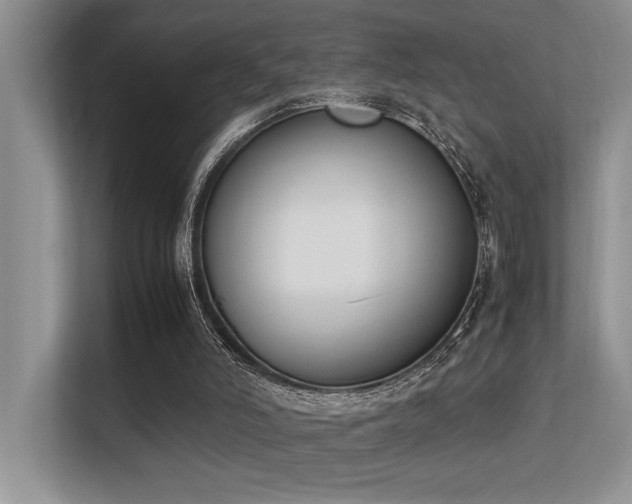 X0000113350006200909151203