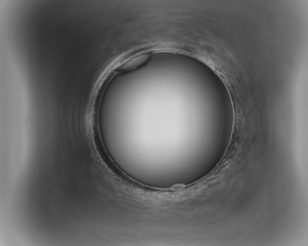 X0000113350007200909151203