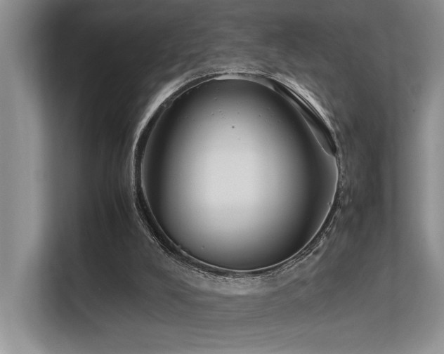 X0000113350008200909151203
