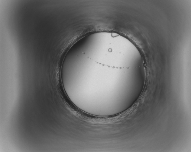 X0000113350009200909151203