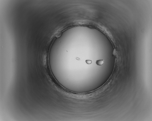 X0000113350010200909151203