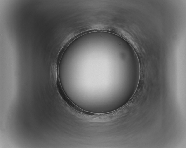 X0000113350011200909151203