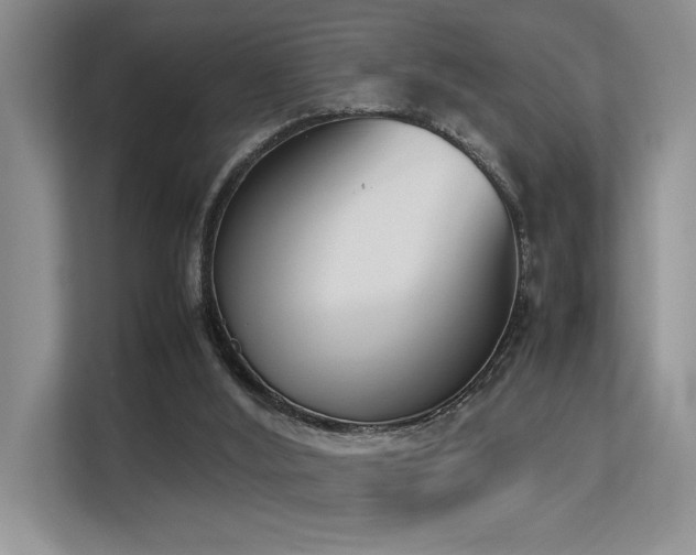 X0000113350012200909151203