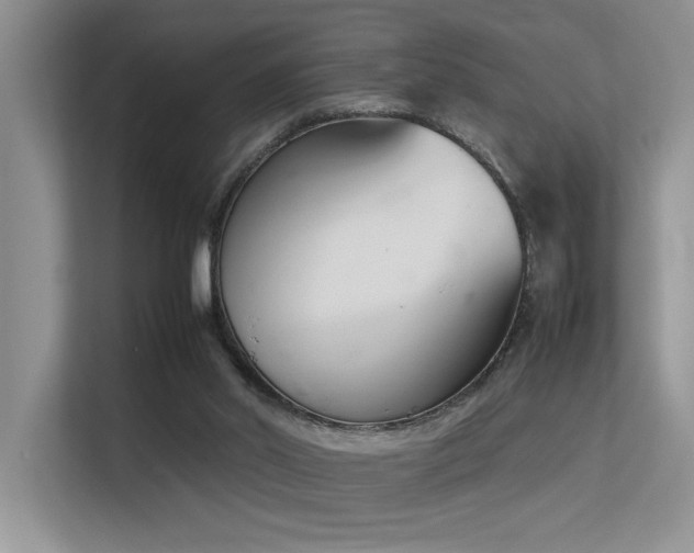 X0000113350014200909151203