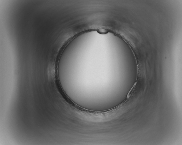 X0000113350015200909151203