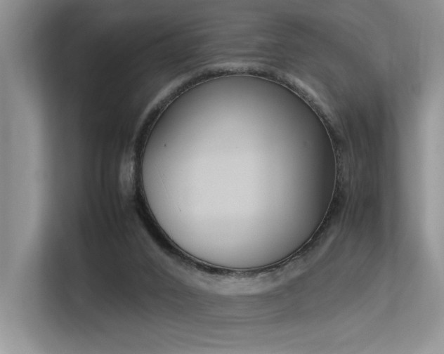 X0000113350016200909151203
