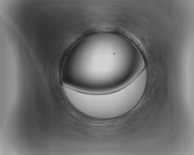 X0000113350017200909151203