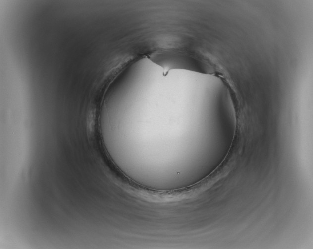 X0000113350018200909151203