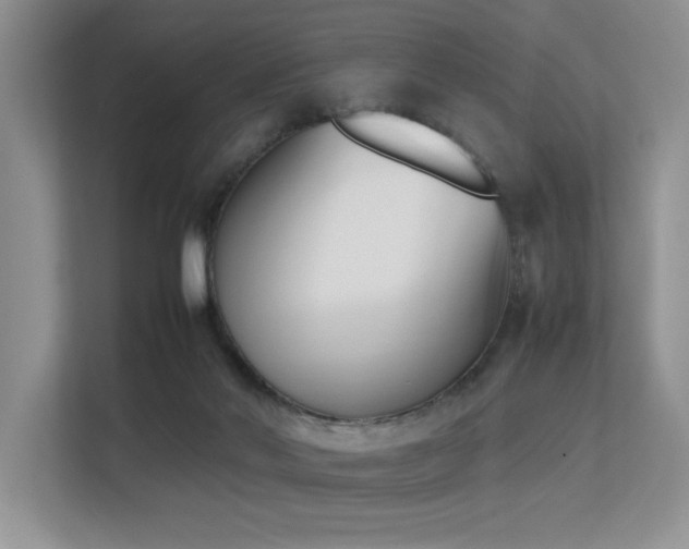 X0000113350022200909151203