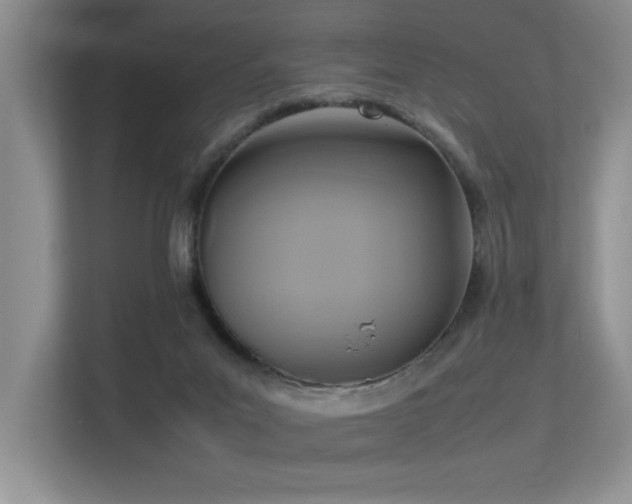 X0000113350023200909151203