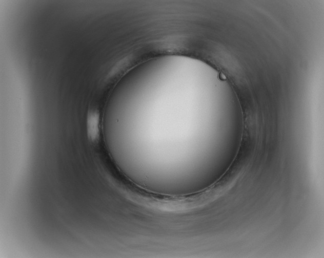 X0000113350024200909151203