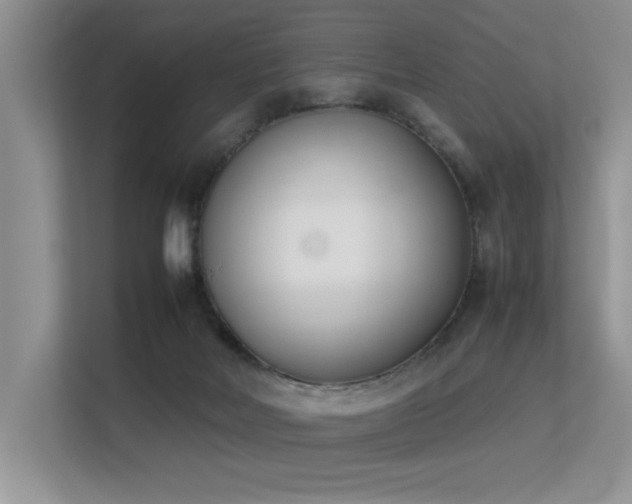 X0000113350026200909151203