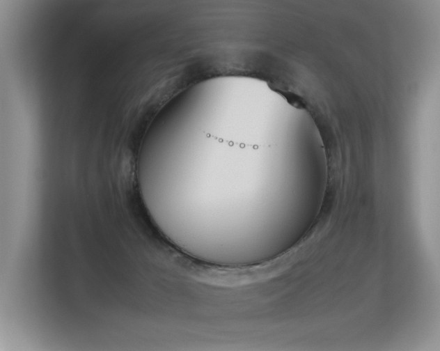 X0000113350029200909151203