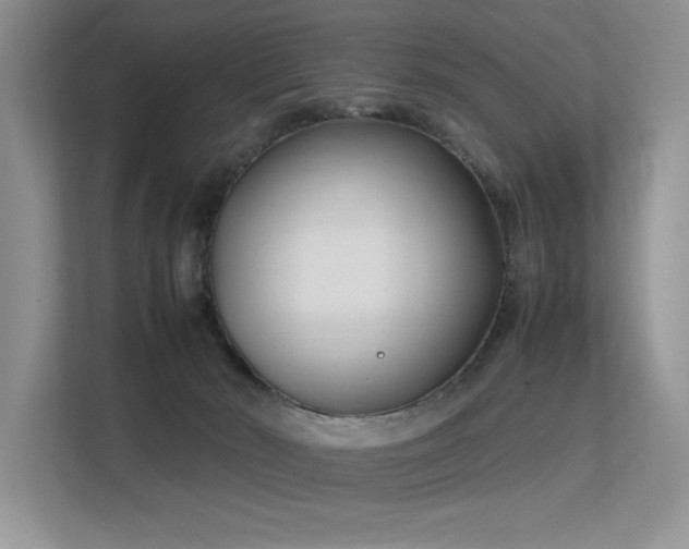 X0000113350030200909151203