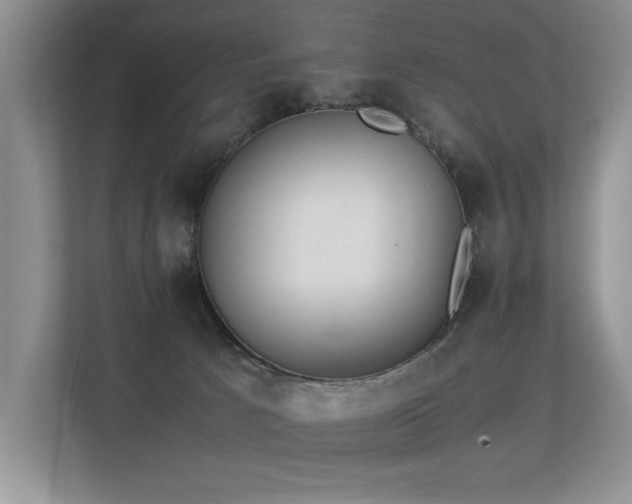 X0000113350033200909151203