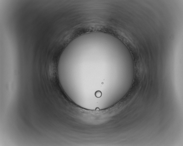 X0000113350034200909151203