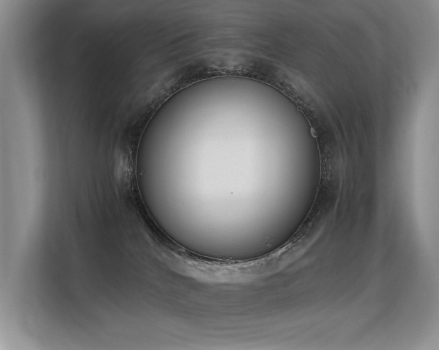 X0000113350040200909151203