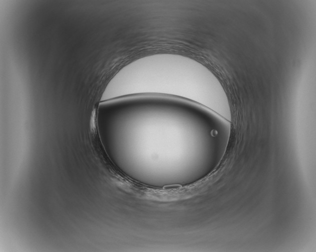 X0000113350041200909151203