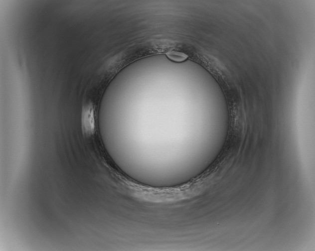 X0000113350042200909151203
