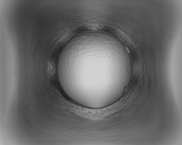 X0000113350043200909151203