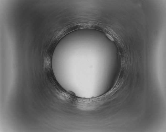 X0000113350045200909151202