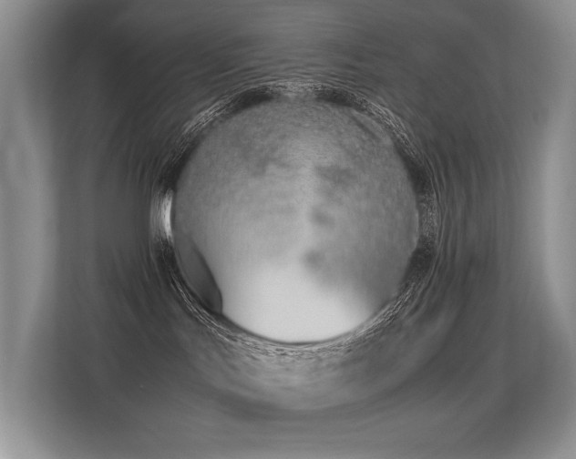 X0000113350047200909151202