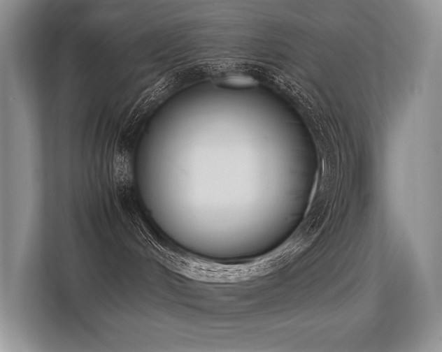 X0000113350048200909151202