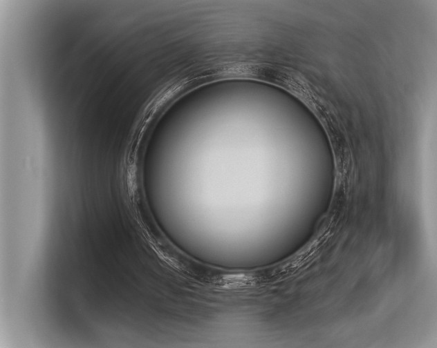 X0000113350050200909151202