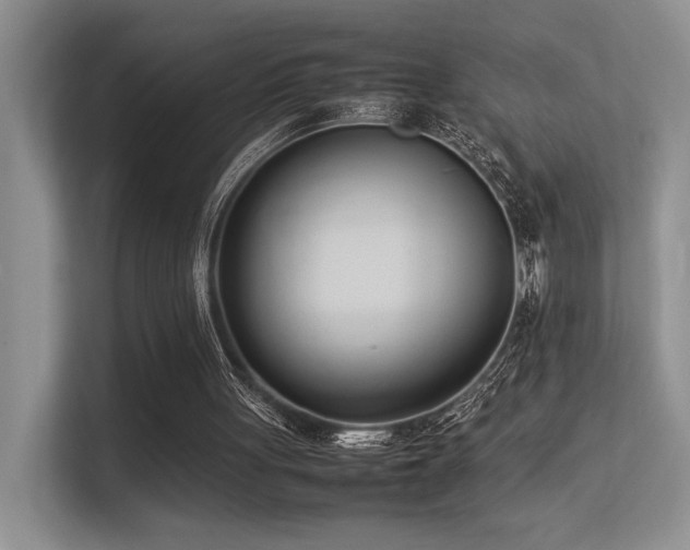 X0000113350051200909151202