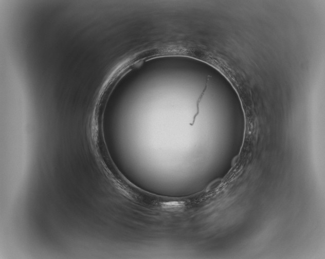 X0000113350053200909151202