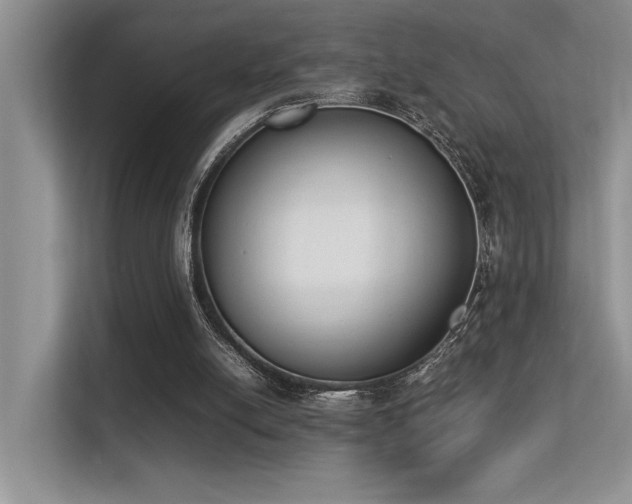 X0000113350054200909151202