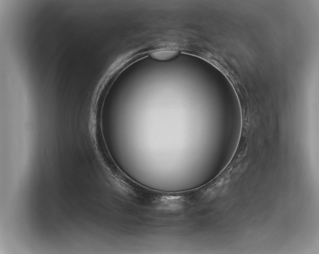 X0000113350055200909151202
