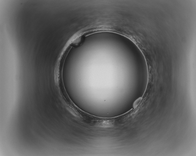 X0000113350056200909151202
