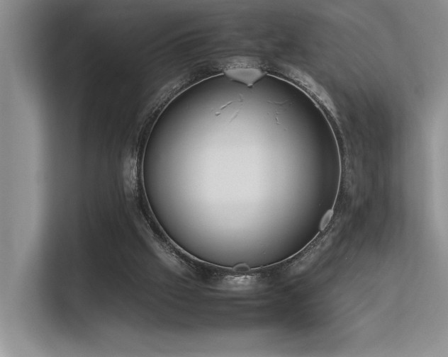 X0000113350057200909151202