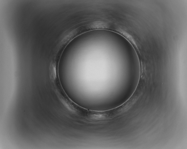 X0000113350061200909151202