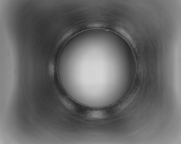 X0000113350063200909151202