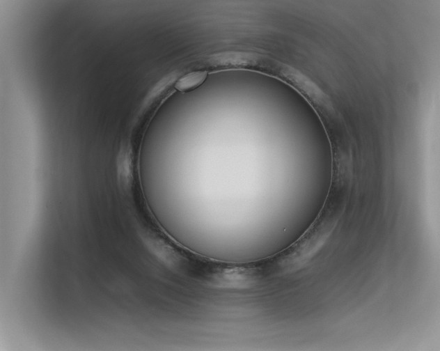 X0000113350064200909151202
