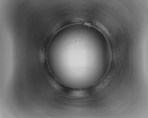 X0000113350065200909151202