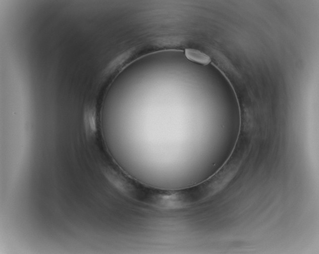 X0000113350068200909151202
