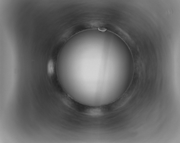 X0000113350075200909151202