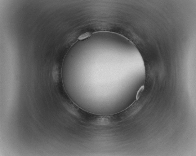 X0000113350080200909151202
