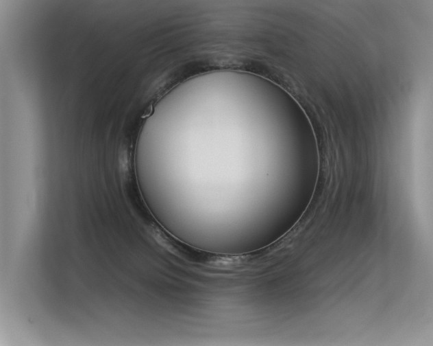 X0000113350084200909151202