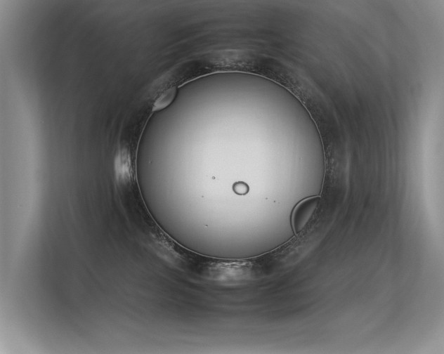 X0000113350089200909151202