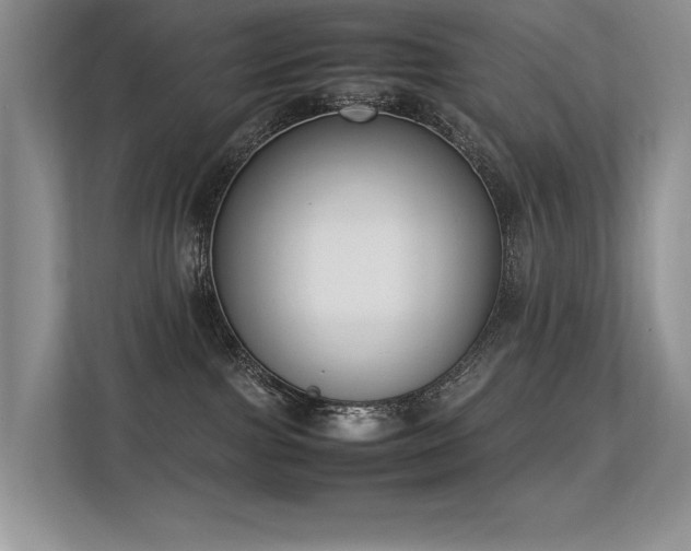 X0000113350091200909151202