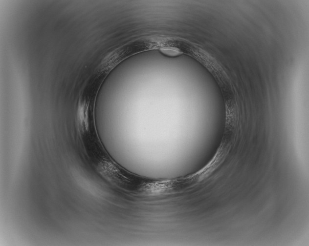 X0000113350094200909151202