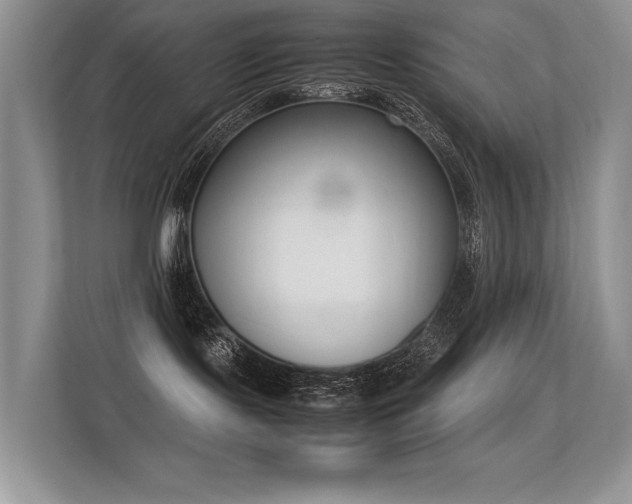 X0000113350095200909151202